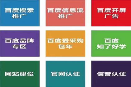 SEM推广代运营案例：品牌塑造